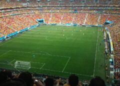 Crowd in Stadium